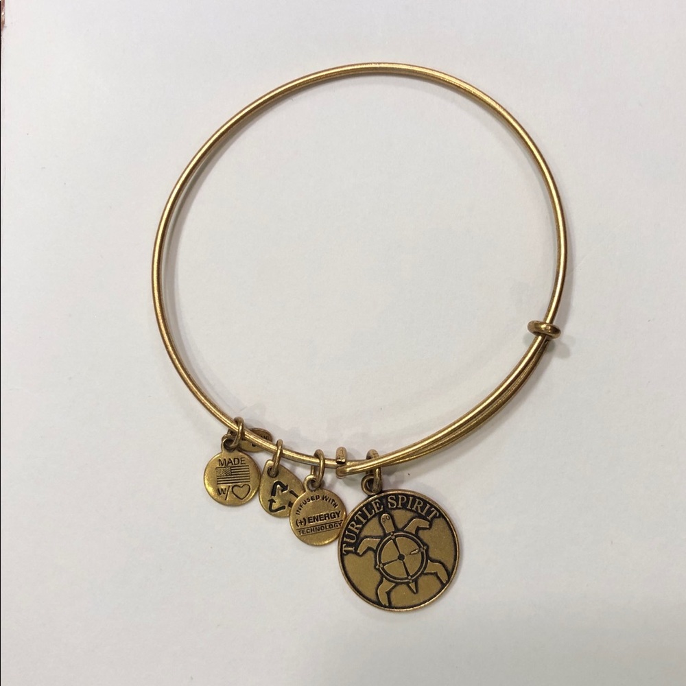 Alex & Ani Turtle Spirit Bracelet